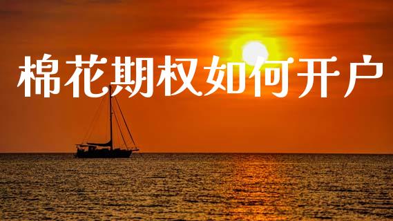 棉花期权如何开户_https://www.gongyisiwang.com_期货公司手续费排名_第1张