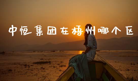 中恒集团在梧州哪个区_https://www.gongyisiwang.com_广发期货手续费_第1张