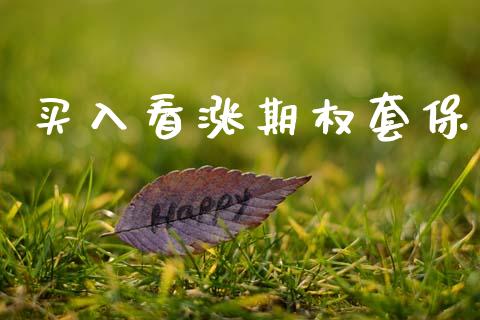 买入看涨期权套保_https://www.gongyisiwang.com_焦炭期货手续费_第1张