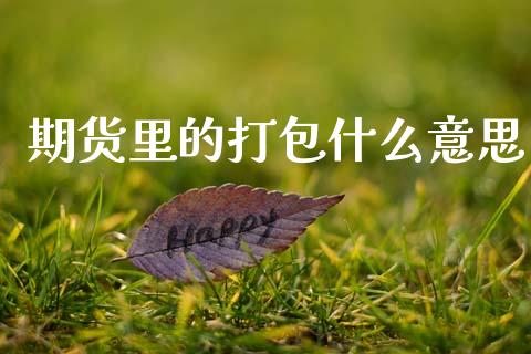 期货里的打包什么意思_https://www.gongyisiwang.com_恒指期货_第1张