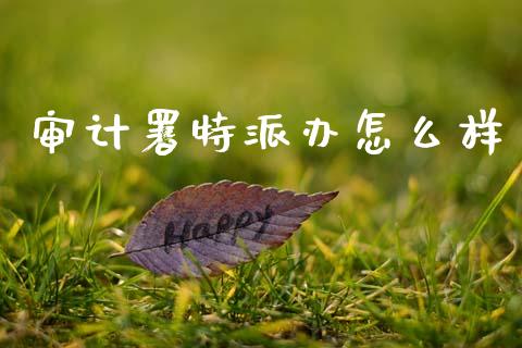 审计署特派办怎么样_https://www.gongyisiwang.com_焦炭期货手续费_第1张