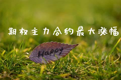 期权主力合约最大涨幅_https://www.gongyisiwang.com_恒指期货_第1张
