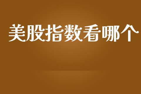 美股指数看哪个_https://www.gongyisiwang.com_恒指期货_第1张
