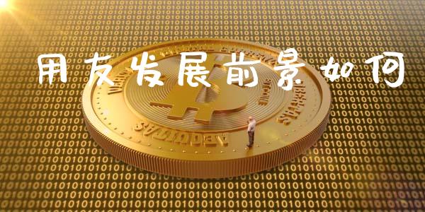 用友发展前景如何_https://www.gongyisiwang.com_焦炭期货手续费_第1张