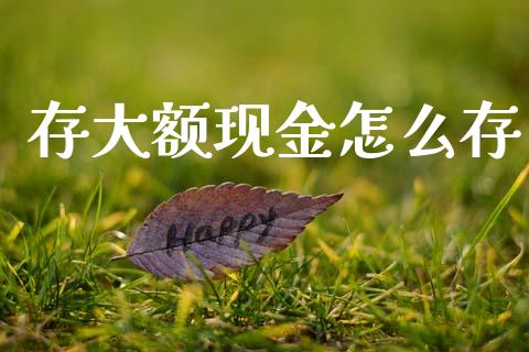 存大额现金怎么存_https://www.gongyisiwang.com_股指期货_第1张