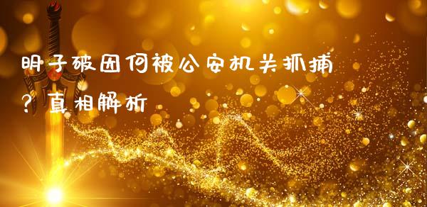 明子破因何被公安机关抓捕？真相解析_https://www.gongyisiwang.com_道指_第1张