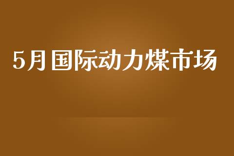 5月国际动力煤市场_https://www.gongyisiwang.com_恒指期货_第1张