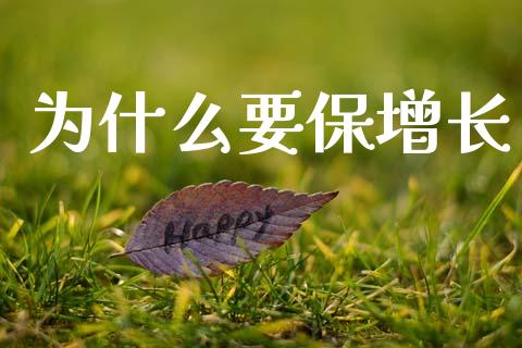 为什么要保增长_https://www.gongyisiwang.com_股指期货交易手续费_第1张
