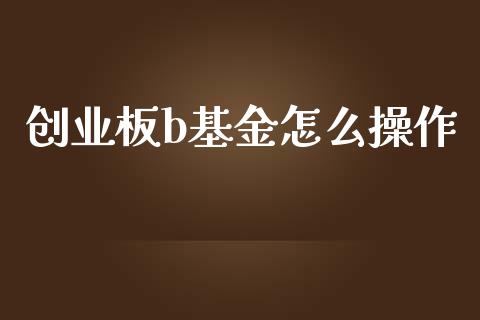 创业板b基金怎么操作_https://www.gongyisiwang.com_恒指期货_第1张