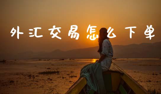 外汇交易怎么下单_https://www.gongyisiwang.com_股指期货交易手续费_第1张