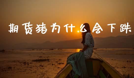 期货猪为什么会下跌_https://www.gongyisiwang.com_原油期货_第1张