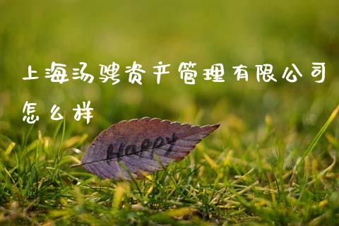 上海汤骋资产管理有限公司怎么样_https://www.gongyisiwang.com_道指_第1张