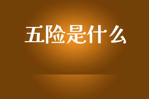 五险是什么_https://www.gongyisiwang.com_原油期货_第1张