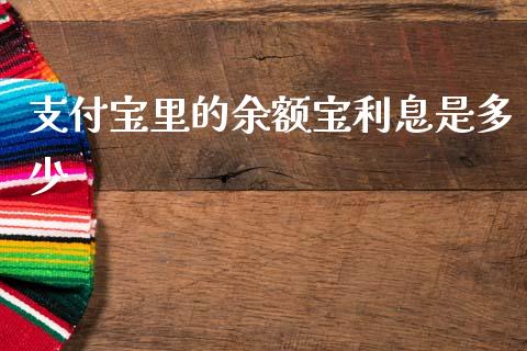 支付宝里的余额宝利息是多少_https://www.gongyisiwang.com_道指_第1张