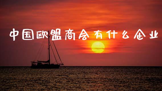 中国欧盟商会有什么企业_https://www.gongyisiwang.com_股指期货交易手续费_第1张