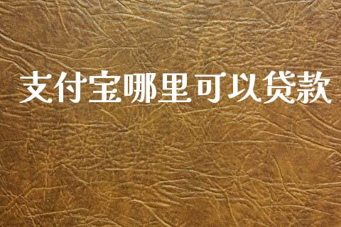 支付宝哪里可以贷款_https://www.gongyisiwang.com_道指_第1张