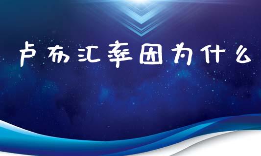 卢布汇率因为什么_https://www.gongyisiwang.com_原油期货_第1张