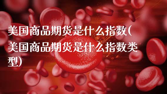美国商品期货是什么指数(美国商品期货是什么指数类型)_https://www.gongyisiwang.com_广发期货手续费_第1张