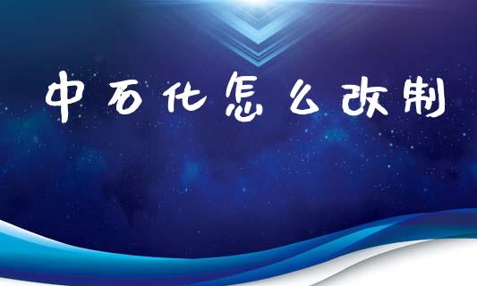 中石化怎么改制_https://www.gongyisiwang.com_期货公司手续费排名_第1张