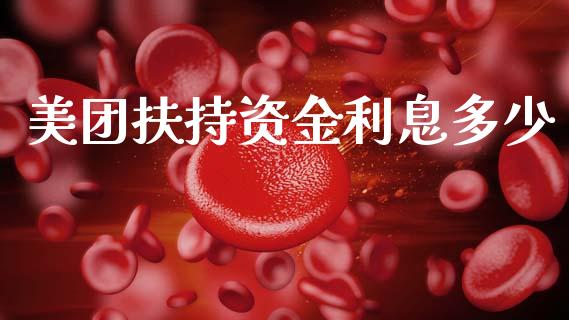 美团扶持资金利息多少_https://www.gongyisiwang.com_股指期货交易手续费_第1张