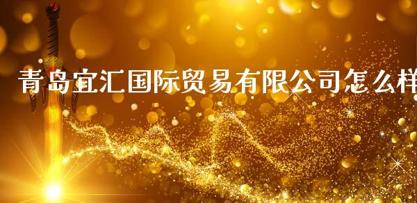 青岛宜汇国际贸易有限公司怎么样_https://www.gongyisiwang.com_焦炭期货手续费_第1张