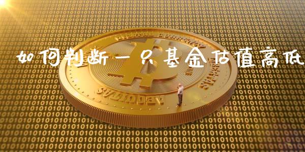 如何判断一只基金估值高低_https://www.gongyisiwang.com_原油期货_第1张