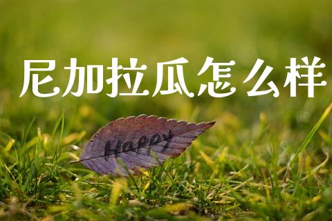 尼加拉瓜怎么样_https://www.gongyisiwang.com_股指期货_第1张