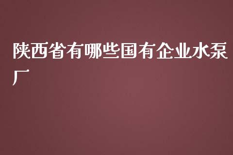 陕西省有哪些国有企业水泵厂_https://www.gongyisiwang.com_广发期货手续费_第1张
