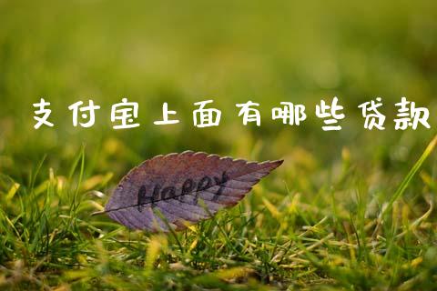 支付宝上面有哪些贷款_https://www.gongyisiwang.com_恒指期货_第1张