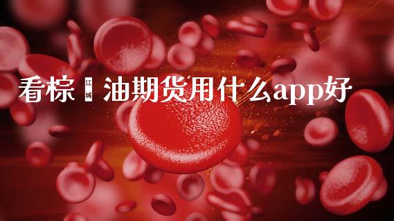看棕榈油期货用什么app好_https://www.gongyisiwang.com_广发期货手续费_第1张