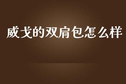 威戈的双肩包怎么样_https://www.gongyisiwang.com_道指_第1张