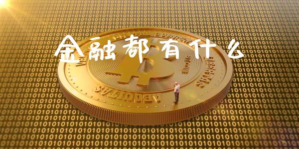 金融都有什么_https://www.gongyisiwang.com_股指期货交易手续费_第1张