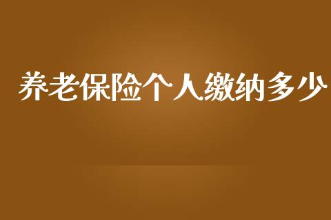 养老保险个人缴纳多少_https://www.gongyisiwang.com_股指期货交易手续费_第1张