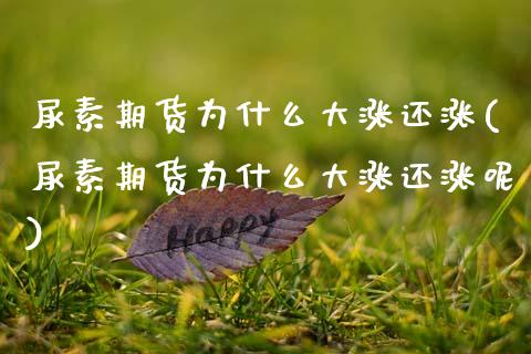 尿素期货为什么大涨还涨(尿素期货为什么大涨还涨呢)_https://www.gongyisiwang.com_股指期货交易手续费_第1张