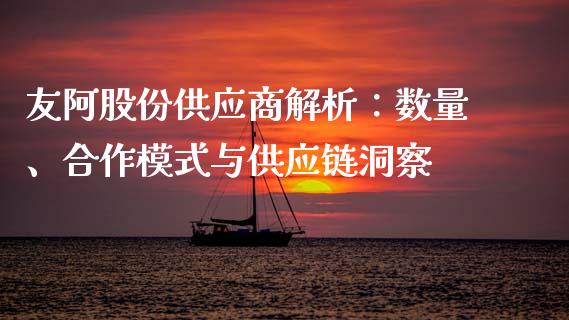 友阿股份供应商解析：数量、合作模式与供应链洞察_https://www.gongyisiwang.com_广发期货手续费_第1张