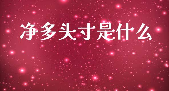 净多头寸是什么_https://www.gongyisiwang.com_广发期货手续费_第1张