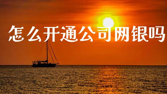 怎么开通公司网银吗_https://www.gongyisiwang.com_广发期货手续费_第1张