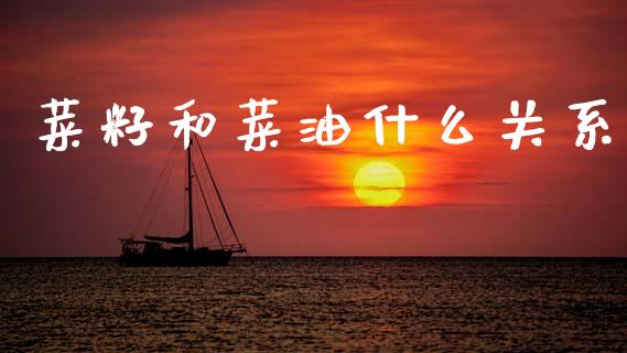 菜籽和菜油什么关系_https://www.gongyisiwang.com_股指期货_第1张