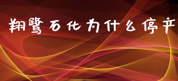 翔鹭石化为什么停产_https://www.gongyisiwang.com_股指期货交易手续费_第1张