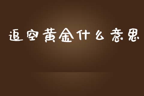 追空黄金什么意思_https://www.gongyisiwang.com_广发期货手续费_第1张