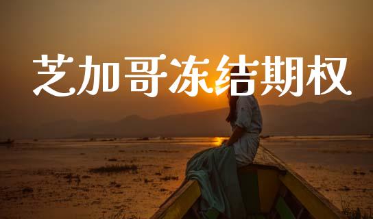 芝加哥冻结期权_https://www.gongyisiwang.com_广发期货手续费_第1张