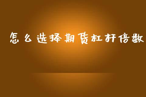 怎么选择期货杠杆倍数_https://www.gongyisiwang.com_恒指期货_第1张