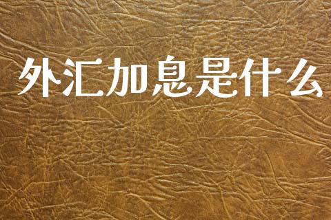 外汇加息是什么_https://www.gongyisiwang.com_焦炭期货手续费_第1张