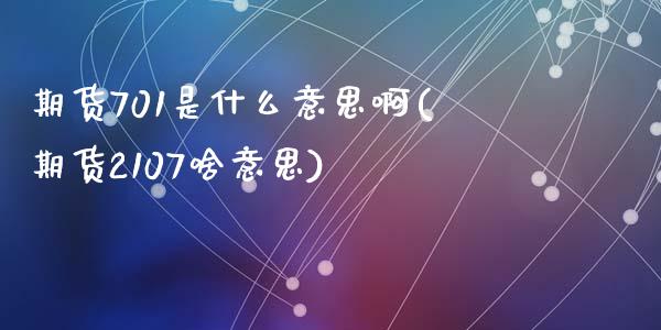 期货701是什么意思啊(期货2107啥意思)_https://www.gongyisiwang.com_广发期货手续费_第1张