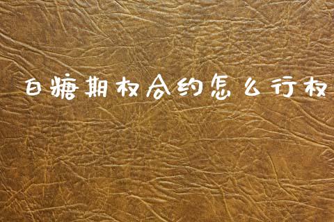 白糖期权合约怎么行权_https://www.gongyisiwang.com_恒指期货_第1张