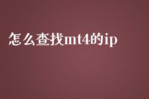 怎么查找mt4的ip_https://www.gongyisiwang.com_恒指期货_第1张