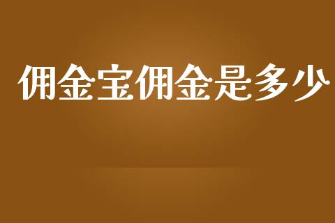 佣金宝佣金是多少_https://www.gongyisiwang.com_广发期货手续费_第1张