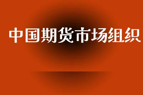 中国期货市场组织_https://www.gongyisiwang.com_焦炭期货手续费_第1张