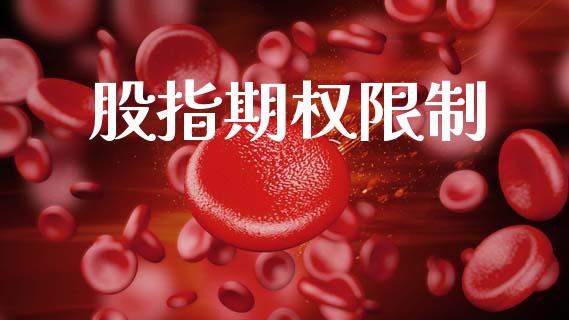 股指期权限制_https://www.gongyisiwang.com_股指期货_第1张