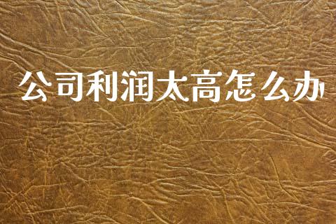 公司利润太高怎么办_https://www.gongyisiwang.com_恒指期货_第1张
